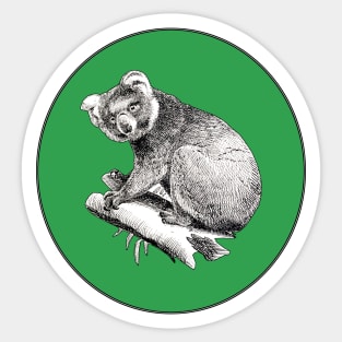 Koala Sticker